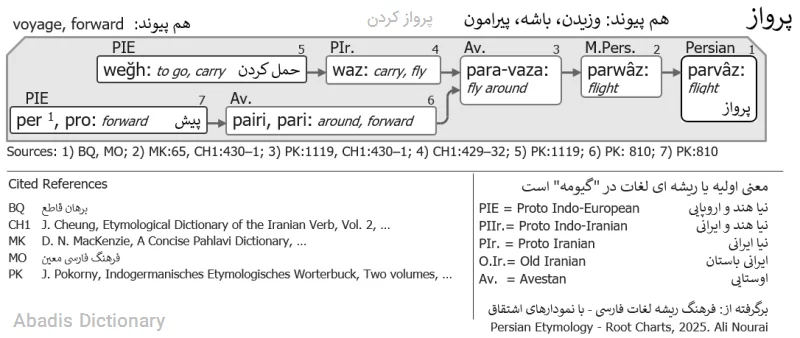 پرواز کردن